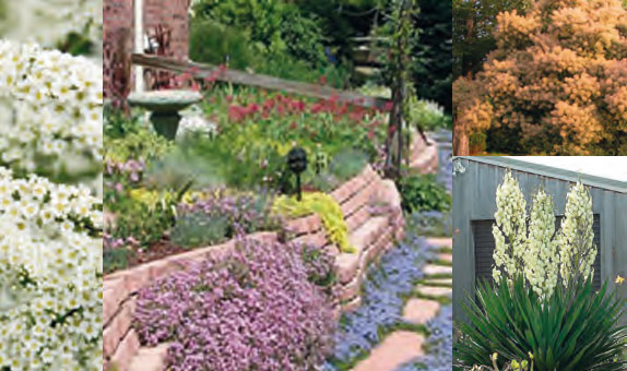 Yeşil Binalarda Kurakçıl Peyzaj Uygulamaları