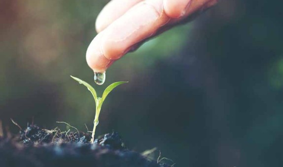 Yeşil Kampüs Uygulaması: Kampüs Atıksularının Sulama Amacıyla Yeniden Kullanımı