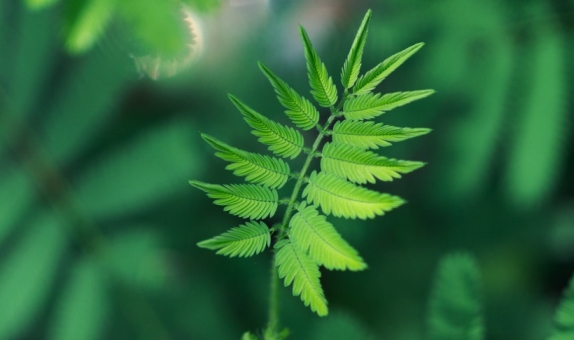 Sürdürülebilir Markalar Konferansı 6. Yılında
