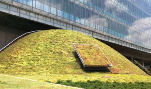 Garanti Bankası Teknoloji Kampüsü'ne BTM Optigreen ile Spesifik Çatı Çözümü