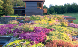 Bitkilendirilmiş Çatı Sistemlerinde Geri Dönüştürülmüş Yapı Malzemesi Kullanımının İrdelenmesi