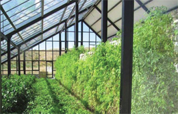 Güneş Enerjili Sera Günsera