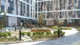 Yüzer Sistem Uygulanan Yeşil Çatılar